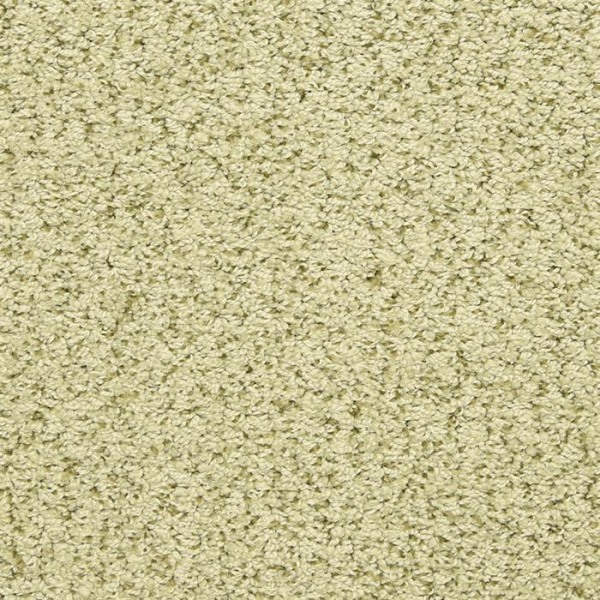 Masland Carpets Sea Grass Moss Masland