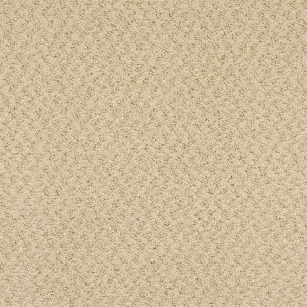 Masland Carpets New Hope Coriander Masland