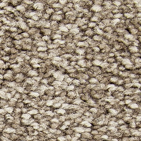 Horizon Carpet Exceptional Choice Montego Mohawk
