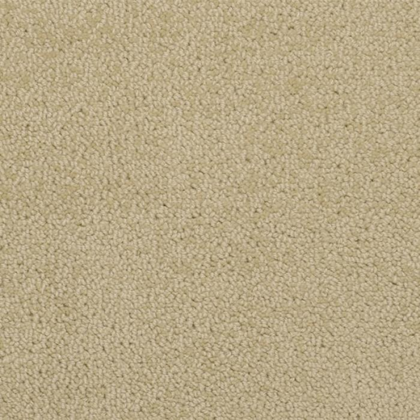 Masland Carpets Novellino Putty Masland