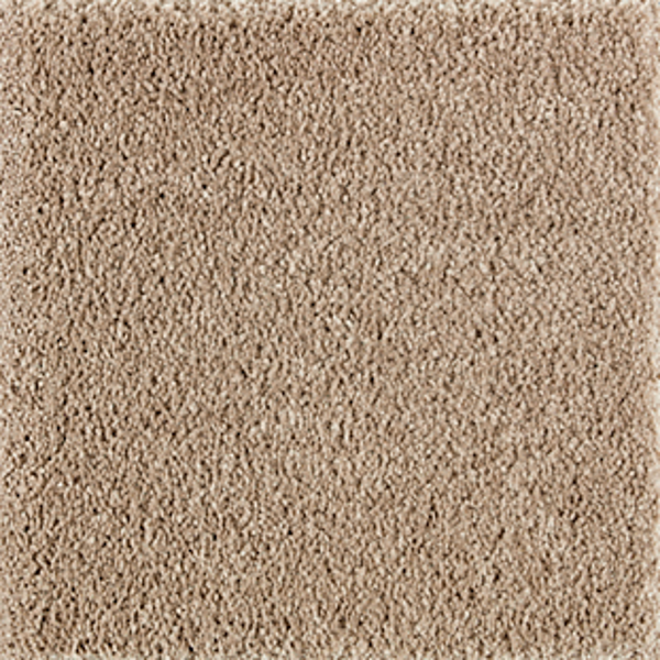 Horizon Carpet Exquisite Attraction Timeless Mohawk