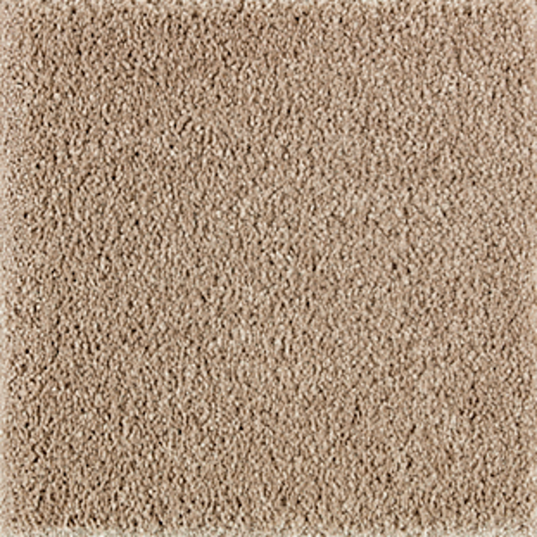 Horizon Carpet Exquisite Beauty Timeless Mohawk