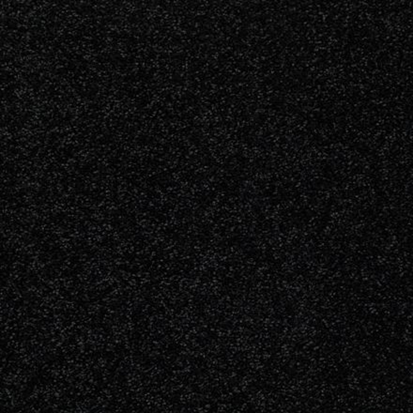 Shaw Floors Dalton 40 12 Coal Black SHAW