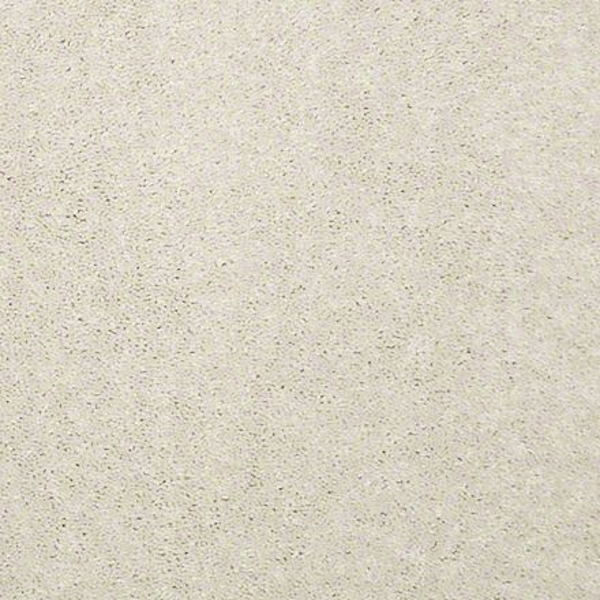 Shaw Floors Newbern Classic 15 Ivory Tint SHAW