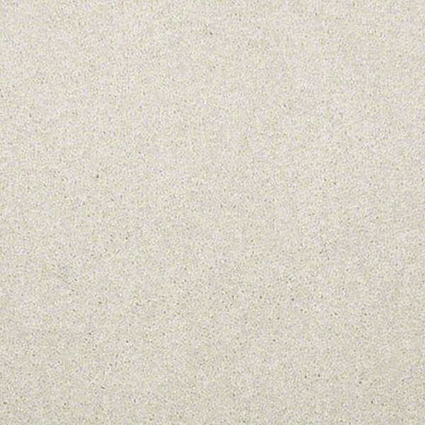 Shaw Floors Newbern Classic 15 Taupe SHAW