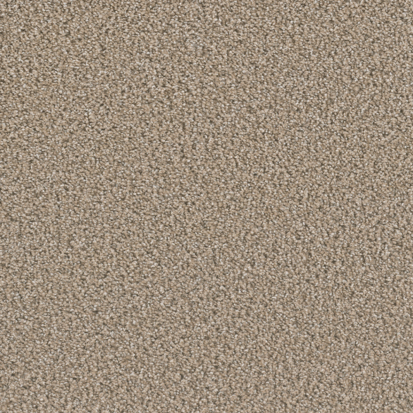 Dreamweaver Carpet Dazzling Straw DREAMWEAVER