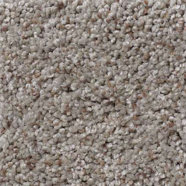 Shaw Floors That's Right Terrace SHAW