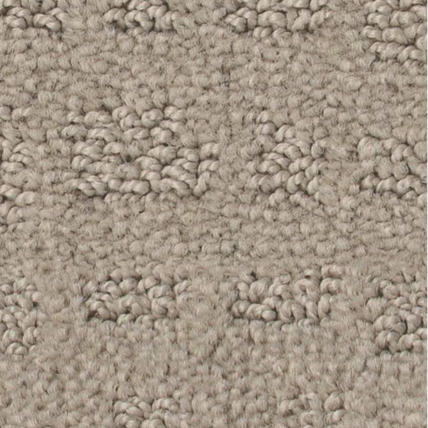 Tuftex Solstice Bit Of Gray SHAW