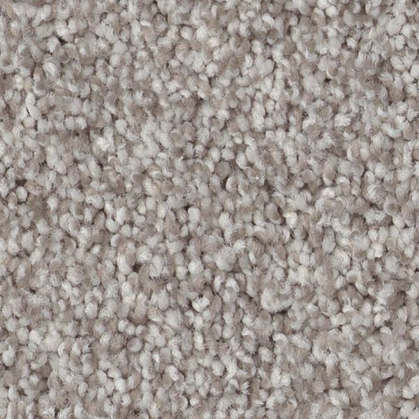 Tuftex Bossa Nova Platinum SHAW