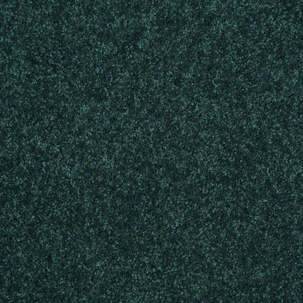 Shaw Floors Newbern Classic 12 Polo SHAW