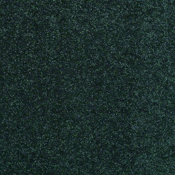 Shaw Floors Newbern Classic 15 Polo SHAW