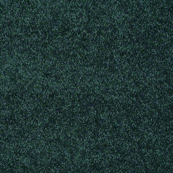 Shaw Floors Dyersburg Classic 15' Polo SHAW