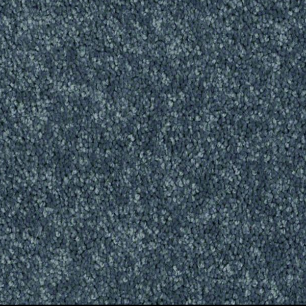 Shaw Floors Dyersburg Classic 12' Colonial SHAW