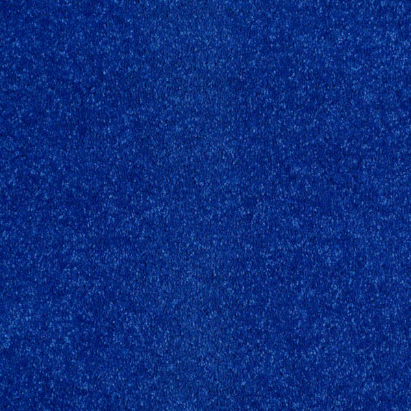 Shaw Floors Newbern Classic 12 Cobalt SHAW