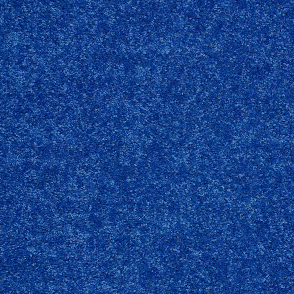 Shaw Floors Briceville Classic 15' Cobalt SHAW