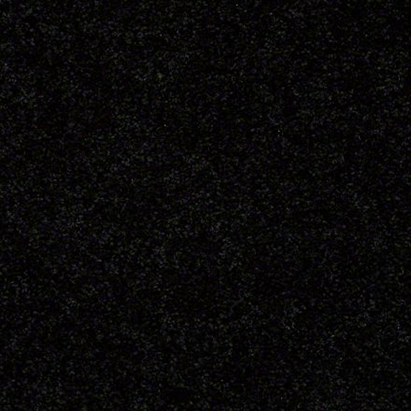 Shaw Floors Newbern Classic 15 Coal Black SHAW