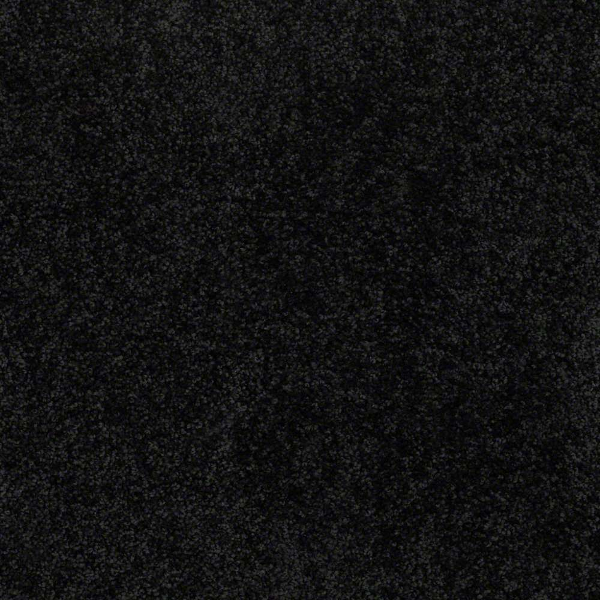 Shaw Floors Briceville Classic 15' Coal Black SHAW