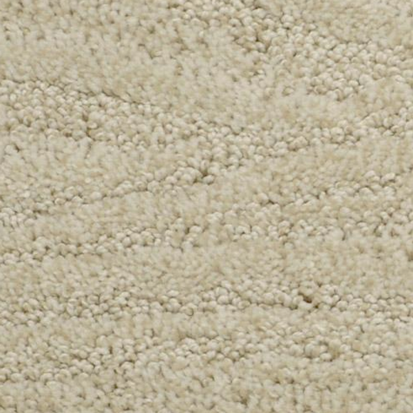 Dixie Home Taittinger November Rain