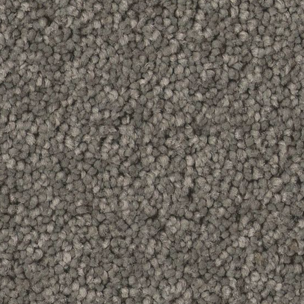 Tuftex Elegant Beauty Lunar Rock SHAW