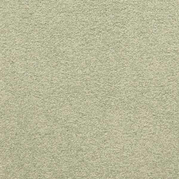 Masland Carpets Patriot Valley Masland