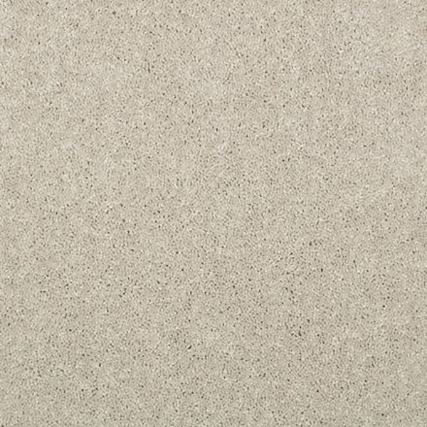 Shaw Floors Dalton 30 15' Dove SHAW