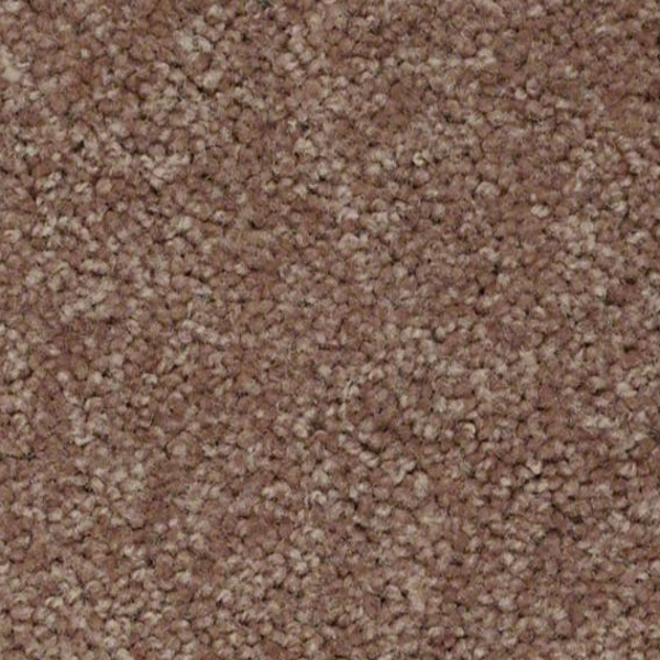 Shaw Floors Dyersburg Classic 12' Candied Truffle SHAW