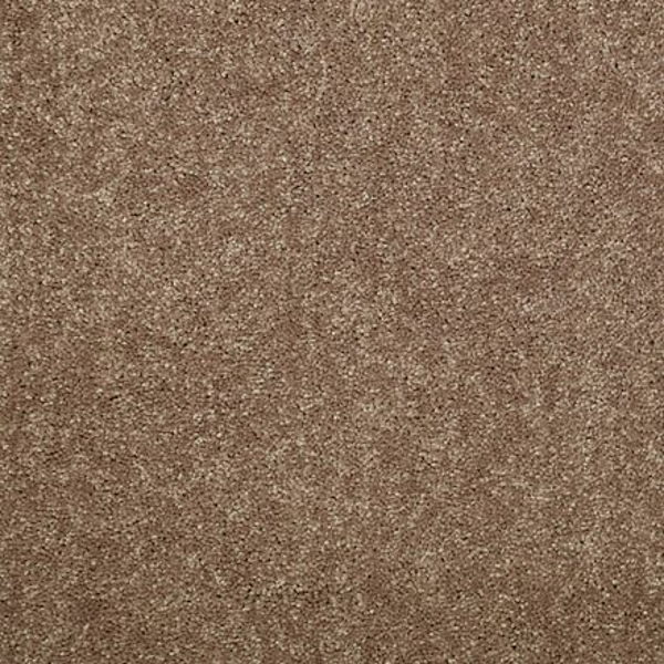 Shaw Floors Dalton 30 12' Candied Truffle SHAW