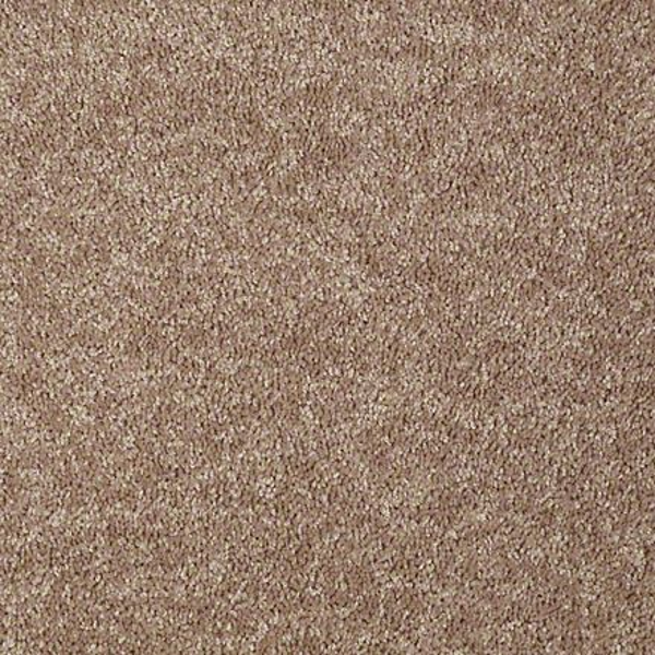 Shaw Floors Briceville Classic 12' Dusty Trail SHAW