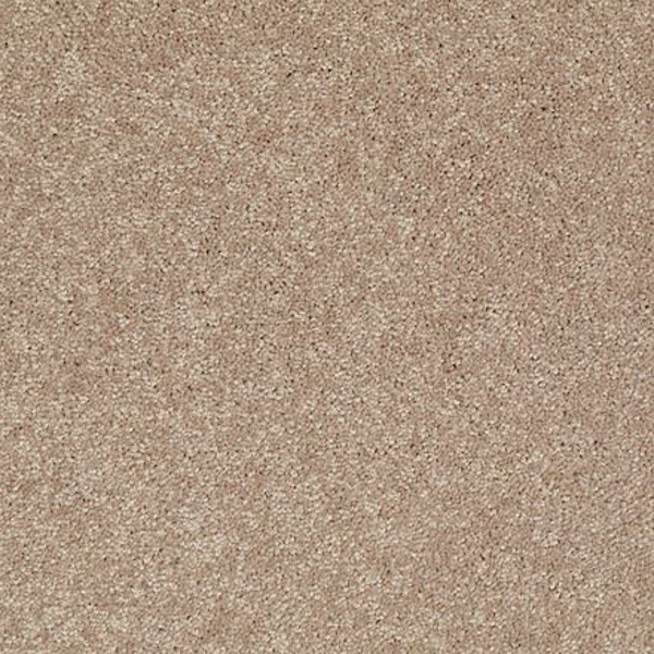 Shaw Floors Dalton 40 12 Dusty Trail SHAW