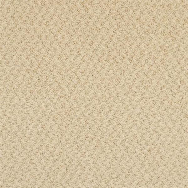 Masland Carpets New Hope Warm Tan Masland