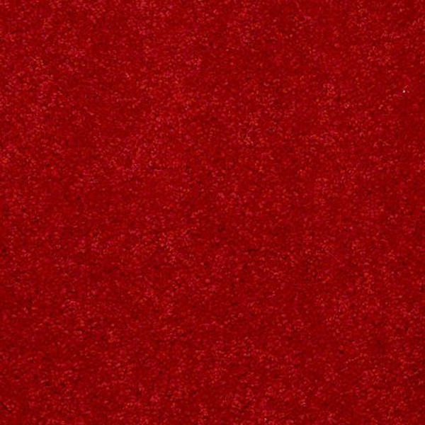 Shaw Floors Newbern Classic 15 Real Red SHAW