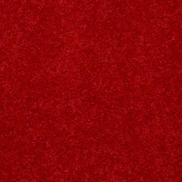 Shaw Floors Dyersburg Classic 12' Real Red SHAW
