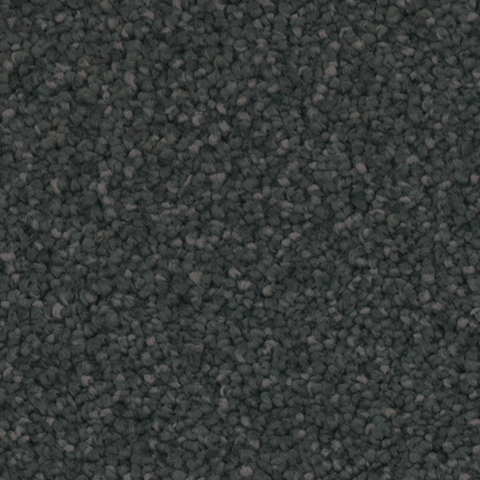 Tarkett Home Carpets Providence Garden LEXMARK