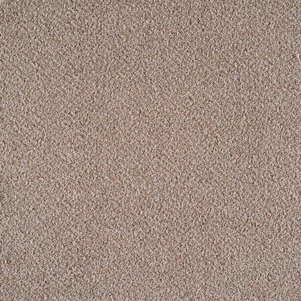 Southwind Exalted Stampede