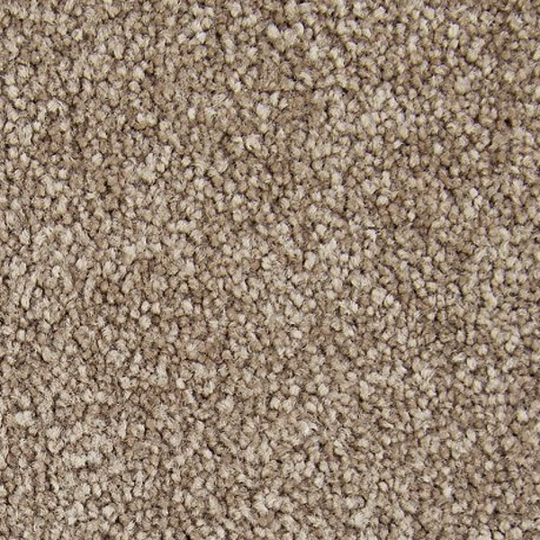 Horizon Carpet Memorable View Timberlane Mohawk