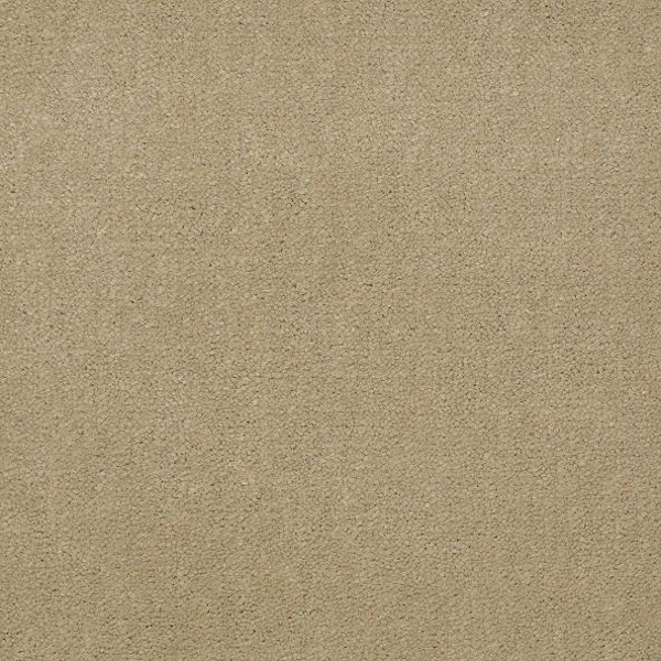 Philadelphia Commercial Emphatic II 36 Parchment Shaw