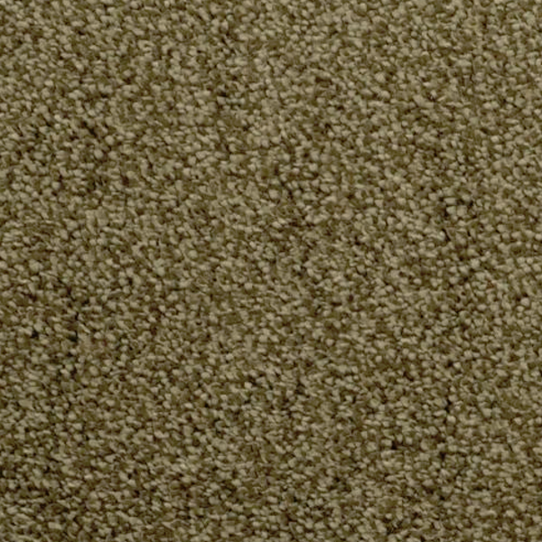 Dixie Home Morning Mist Solo