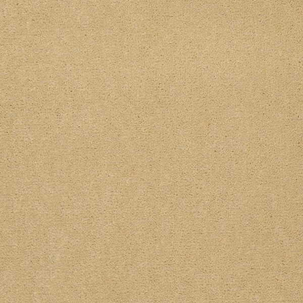 Philadelphia Commercial Emphatic II 36 Sun Valley Shaw