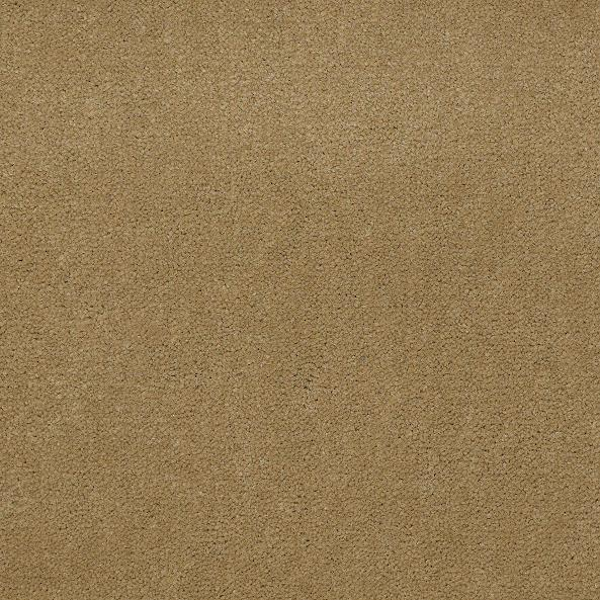 Philadelphia Commercial Emphatic II 36 Butterscotch Shaw