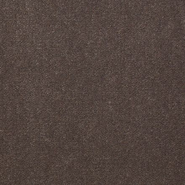 Philadelphia Commercial Emphatic II 30 Sandy Taupe Shaw