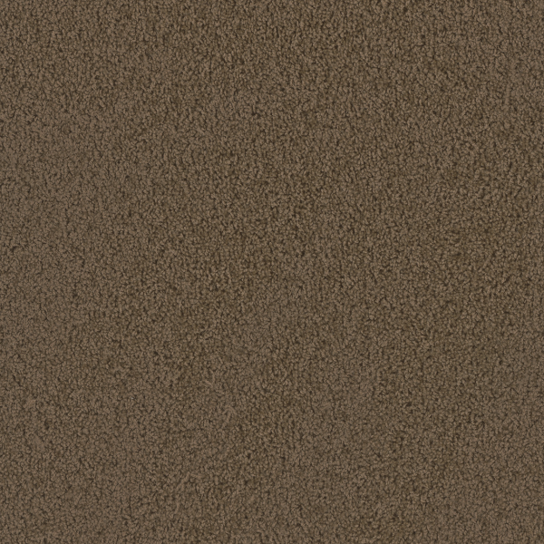 Dreamweaver Carpet Hot Pursuit Taupe DREAMWEAVER