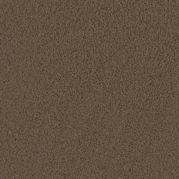 Dreamweaver Carpet Tracker Taupe DREAMWEAVER