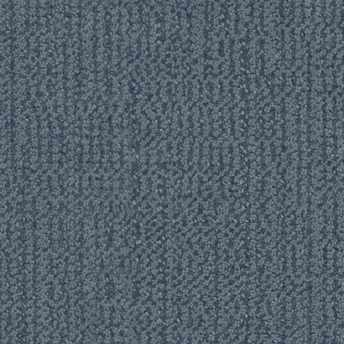 Fabrica Carpets Occasion Festivity Fabrica