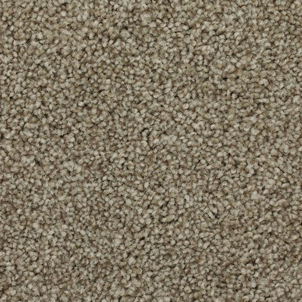 Mohawk Carpet Effortless Choice Warm Fog Mohawk
