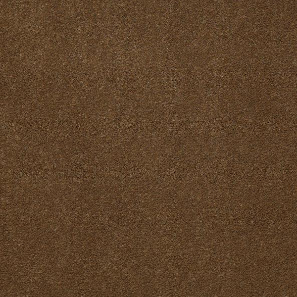 Philadelphia Commercial Emphatic II 36 Sugar Maple Shaw