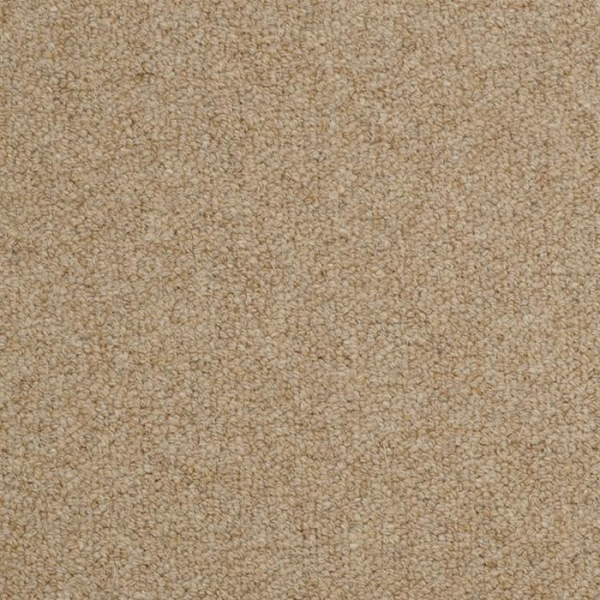 Masland Carpets Wexford Kavanagh Masland