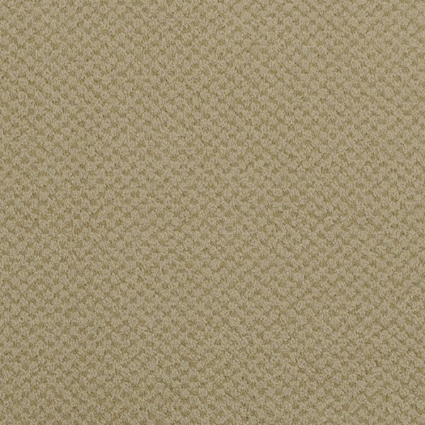 Masland Carpets Seurat Plaster Masland