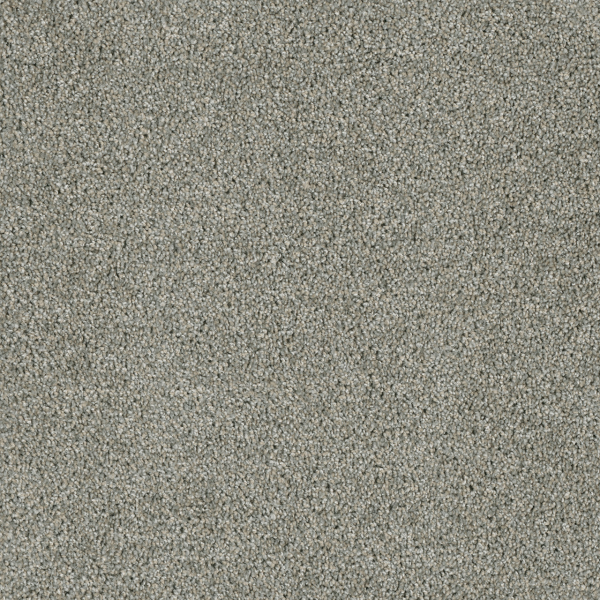 Dreamweaver Carpet Acclaim Looking Glass DREAMWEAVER