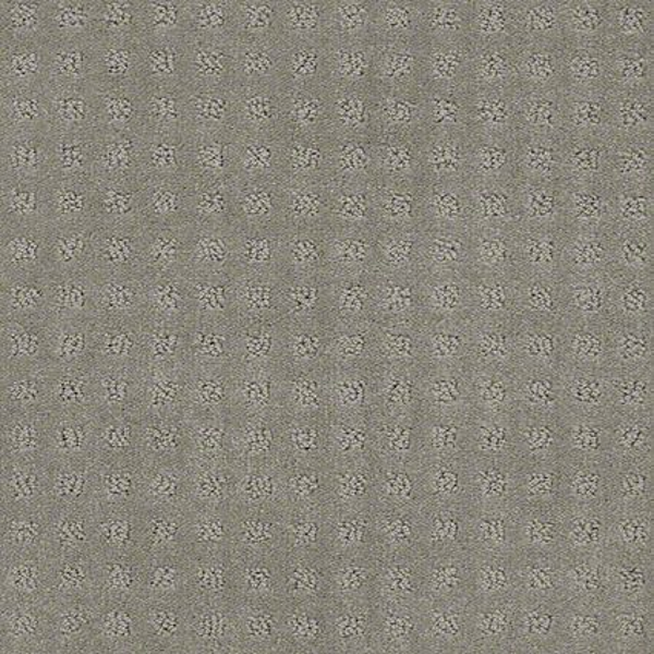 Shaw Floors Alluring Disposition Slate SHAW