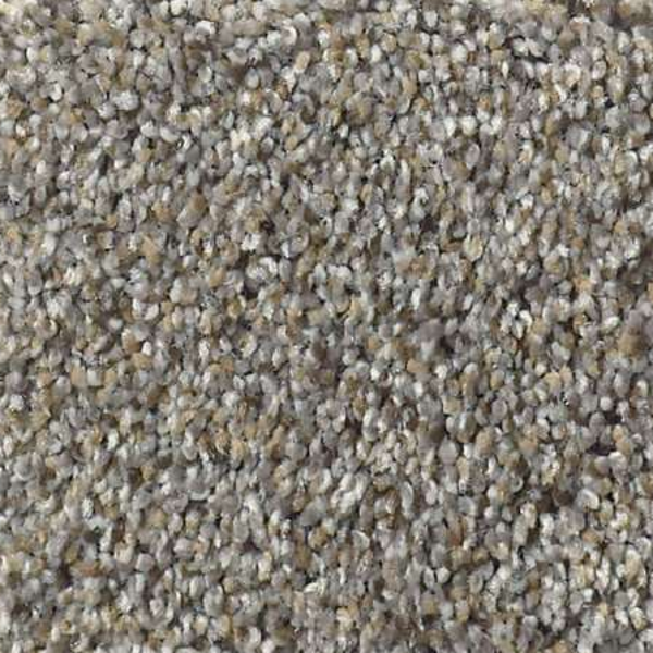 Shaw Floors Elemental Mix III Antique Pin SHAW